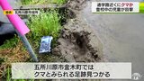 通学路にクマか　登校中の児童２人が目撃　市や警察がパトロールで警戒　青森県八戸市|TBS NEWS DIG