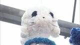 「うちでしか見られない」水族館ならでは“海の生き物”七夕飾り展示　アクアマリンふくしま　福島・いわき市　|　福島のニュース│TUF