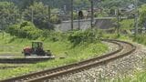 列車と「シカ」の衝突事故相次ぐ理由…「鉄分や塩分を求めてレールを舐めに来ている」可能性 シカが暑さ対策か JRの人気寝台特急「サンライズ出雲」や「特急やくも」にも運休などの影響 シカがわざわざ線路にやってくる|TBS NEWS DIG