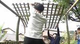 街の空き地を交流の場に再生「都市のスポンジ化」に対処 信大生が取り組む「まち畑プロジェクト」の今 | SBC NEWS | 長野のニュース | SBC信越放送