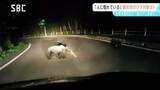 長野県内の山沿いの観光地や北アルプスなど クマの目撃情報が相次ぐ 北海道での事故受け警戒感が高まる | SBC NEWS | 長野のニュース | SBC信越放送