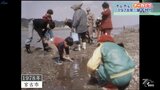 かつては初春の風物詩 アサリ求めて2000人が潮干狩り 岩手県宮古市の金浜海岸 1978年の様子【ホレホレアーカイブ】|TBS NEWS DIG