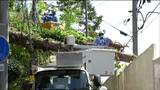 【速報】「すべて復旧」倒木で電線切断 最大約600戸停電 仙台・青葉区(午後1時現在)|TBS NEWS DIG