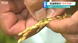 「ここから良くなることは考えにくい」連日の“危険な暑さ”で水稲作況は「やや不良」新潟県三条市|TBS NEWS DIG