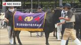 5年に1度「全国和牛能力共進会」に向け長崎県代表「牛」の選考会 | 長崎のニュース | 天気 | NBC長崎放送