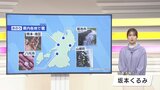 春から初夏は「ひょう」が降りやすい季節　ポイントは「上空との気温差」　|　熊本のニュース｜RKK NEWS｜RKK熊本放送