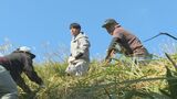 秋吉台の山焼きを前に 連合山口ボランティアが下準備の草刈り 長さ3キロの防火帯作る|TBS NEWS DIG