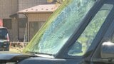 湖畔沿いの国道を横断中 車にはねられる 26歳のチュニジア人女性が意識不明の重体|TBS NEWS DIG