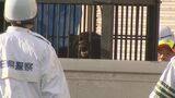 作業小屋に丸1日近く・・・親子とみられる3頭のクマを捕獲 仕掛けたおりに入る 秋田・美郷町|TBS NEWS DIG