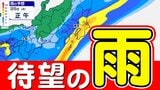 【東京首都圏 雨】土曜日にかけて「雨」続く 「雨はいつから どれぐらい降る?」【雨シミュレーション25日(水)~3月1日(日)/ 関東各都市の週間予報】東京マラソンの天気は? | 鹿児島のニュース|MBC NEWS|南日本放送