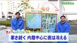 「日中は東部を中心に晴れ、夜は平地で雪が降る所も。最高気温は平年よりやや低く」tbc気象台 17日 | 宮城のニュース│tbc NEWS│tbc東北放送
