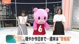 【9月3日 関東の天気】穏やか今日まで…週末は“警報級”|TBS NEWS DIG