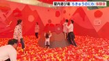 屋内遊び場「ちきゅうのにわ」で体験会　地球をモチーフにした８つのエリアで子どもたちが大はしゃぎ　広島に26日オープン　|　RCC NEWS | 広島ニュース | RCC中国放送