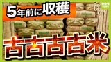 あなたは買う?『古古古古米』ついに放出へ...小泉大臣「コメをじゃぶじゃぶにしていかないと」 気になる味・品質を専門家に聞く【解説】|TBS NEWS DIG