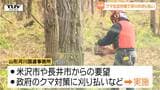 川の近くの木々を伐採　クマが身を隠しやすい場所を減らす試み（山形・長井市）|TBS NEWS DIG