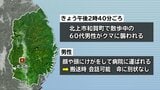 散歩中に親子のクマ2頭と遭遇 親に襲いかかられ60代男性が顔や頭にけが 自力で帰宅し家族が通報 命に別状なし 岩手・北上市|TBS NEWS DIG