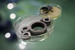 米政府、国内のレアアース磁石メーカー支援へ－中国依存脱却へ布石| TBS CROSS DIG with Bloomberg