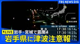 【ライブ】岩手県に津波注意報　久慈港で20cmの津波を観測　安全な場所へ移動を　岩手・宮城で最大震度4のやや強い地震（2025年11月9日）|TBS NEWS DIG