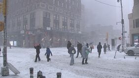 アメリカ大寒波　トランプ大統領“12州に緊急事態宣言”　少なくとも12人死亡　NY州の一部地域ではマイナス45℃を記録か|TBS NEWS DIG