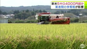 新米5kg・4000円超か 集荷組合が予想 業者間での“新米争奪戦”が影響で高くなる小売店での販売価格 生産者は「生産者だけ喜んでいいのかなと…」|TBS NEWS DIG