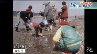 かつては初春の風物詩 アサリ求めて2000人が潮干狩り 岩手県宮古市の金浜海岸 1978年の様子【ホレホレアーカイブ】 | IBC NEWS | IBC岩手放送
