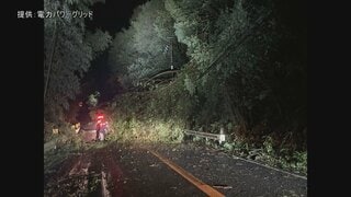 千葉の停電「復旧の見通し立たず」午前10時時点で約1万900軒…多くの地域で長期化の可能性　東京電力パワーグリッド| TBS CROSS DIG with Bloomberg