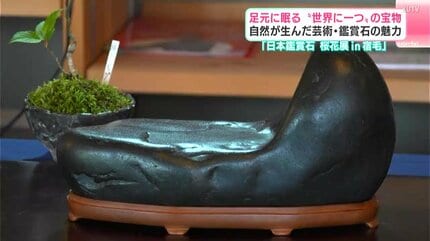 足元に眠る“世界に一つ”の宝物 自然が産んだ芸術・鑑賞石の魅力 高知は