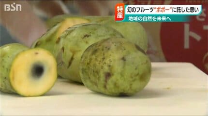 どういう味？と聞かれると…」“幻のフルーツ”ポポーに魅せられて 故郷の