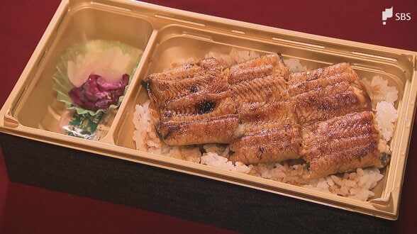 "最高傑作" 浜名湖ウナギの新ブランド「でしこ」を使った弁当 幻と呼ばれるメスが9割...お手頃価格で全国に発信へ【しずおか産】　|　静岡のニュース | SBSNEWS | 静岡放送