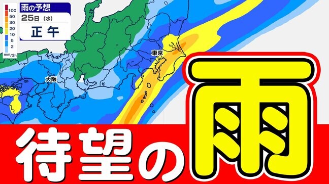 【東京首都圏 雨】土曜日にかけて「雨」続く 「雨はいつから どれぐらい降る？」【雨シミュレーション２５日（水）～３月１日（日）／ 関東各都市の週間予報】東京マラソンの天気は？|TBS NEWS DIG