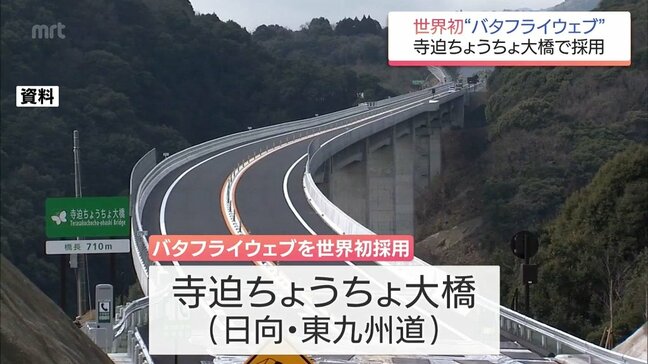世界初の工法を採用　日向市の東九州道「寺迫ちょうちょ大橋」の魅力など語るシンポジウム|TBS NEWS DIG