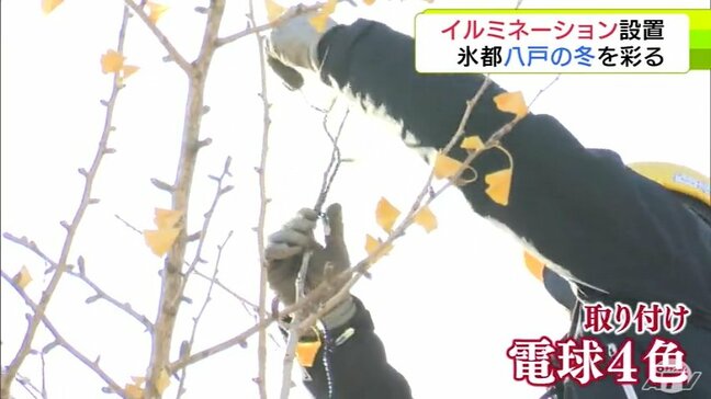 “氷都”八戸の厳しい冬を楽しく　新井田公園でイルミネーションの取り付け作業　12月1日～2026年2月末まで点灯　青森県|TBS NEWS DIG