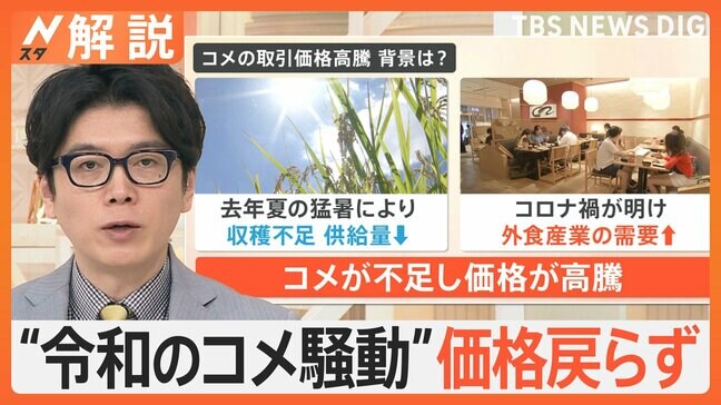 「事件と言って良い」キャベツ高騰で1玉400円超 “令和のコメ騒動”価格戻らず…今買うべき食材は?【Nスタ解説】|TBS NEWS DIG