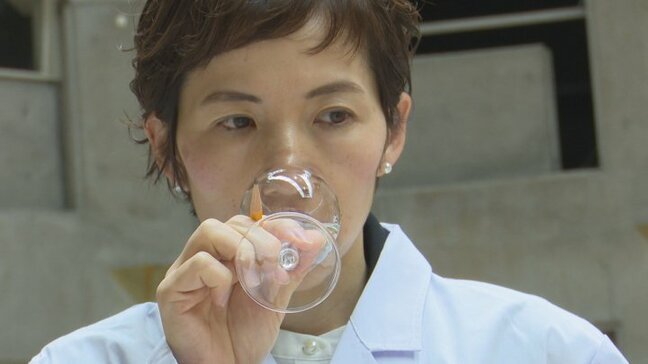 「ここ数年で一番いい年」　新酒ワインの審査会　今年は記録的猛暑も完熟ブドウで例年以上の仕上がり　山梨|TBS NEWS DIG