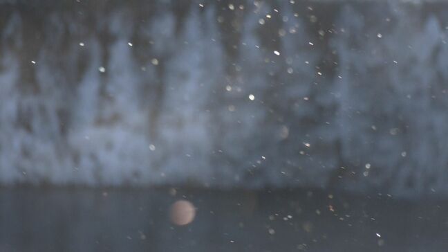 真冬の絶景｢ダイヤモンドダスト｣ 見られるのは1シーズンに数回だけ… －18.5℃を観測した岐阜･高山市六厩|TBS NEWS DIG