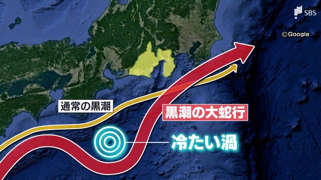 「サンマがめちゃめちゃデカい！」7年9か月続いた過去最長の黒潮大蛇行が終息も…専門家は「後遺症」と再発を懸念=静岡|TBS NEWS DIG