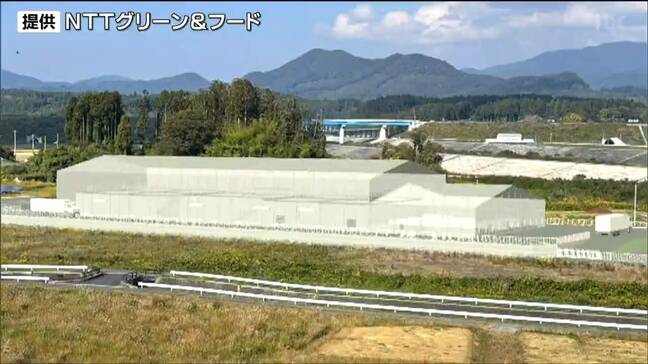 津波被災跡地が陸上養殖施設に生まれ変わる 気仙沼で年間570トンのギンザケやトラウトサーモンを養殖|TBS NEWS DIG