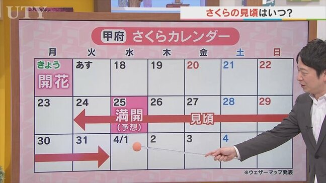ソメイヨシノの見頃は24日から3月いっぱいと予想 17日は中・西部を中心にポカポカ陽気 米津龍一気象予報士が解説 山梨|TBS NEWS DIG