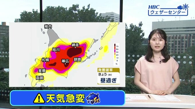 午後の雷発生確率マップ