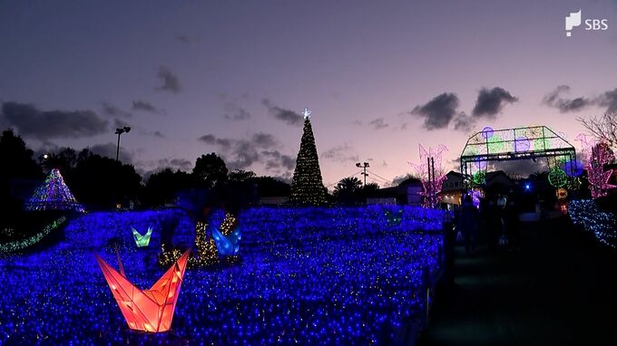 高さ6mゴージャスクリスマスツリーが登場　クリスマスムードを盛り上げー静岡・伊豆ぐらんぱる公園|TBS NEWS DIG