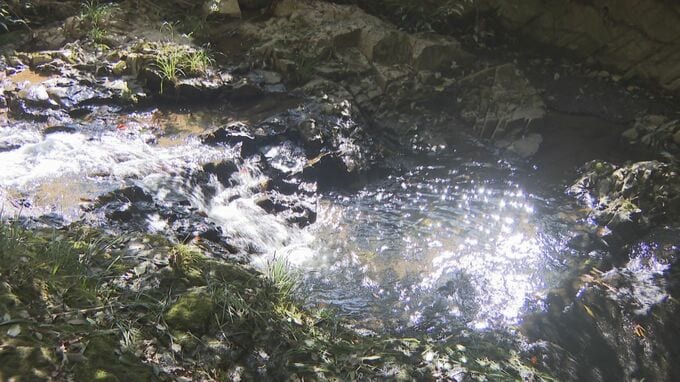 地域の魅力を知ってほしい　自然楽しむウオークラリー　|TBS NEWS DIG