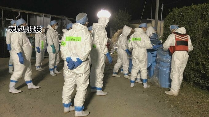 茨城・かすみがうらの養豚場で豚熱発生　約2200頭の殺処分開始　|TBS NEWS DIG
