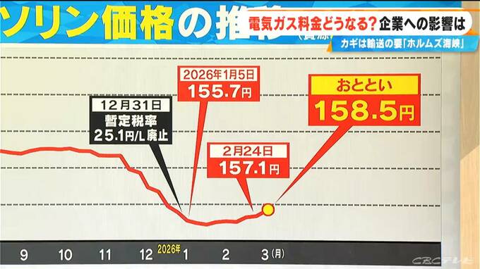 緊迫するイラン情勢 東海地方の企業への影響は？ 電気・ガス料金はどうなる？ホルムズ海峡完全閉鎖でガソリン1リットル300円超の試算も【大石邦彦解説】|TBS NEWS DIG