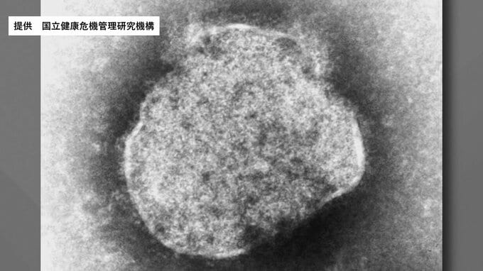 全国で感染拡大の「はしか」県が注意喚起　インフルは9週連続減少　福島　|　福島のニュース│TUF