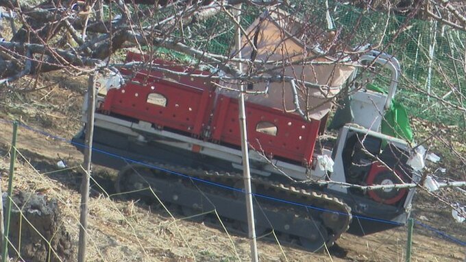 90歳の男性　農業用高所作業車の下敷きになり死亡　モモ畑で枝のせん定作業中|TBS NEWS DIG