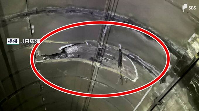 JR東海道線 2日連続のパンタグラフ破損は垂れ下がった漏水防止板を留める金具への接触が原因 JR東海が発表|TBS NEWS DIG