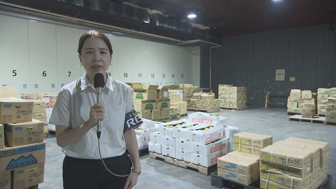 「4，5日モノが入っていない」県外産野菜の品薄続く…台風10号の影響　|　沖縄のニュース｜RBC 琉球放送