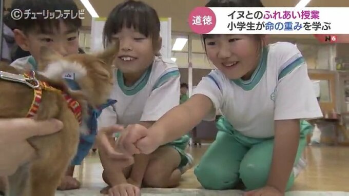 目の前に巨大な手が…イヌの気持ちを知る　子どもたちがふれあい通じて命の大切さ学ぶ　富山・高岡市　|　富山のニュース｜天気・防災｜チューリップテレビ