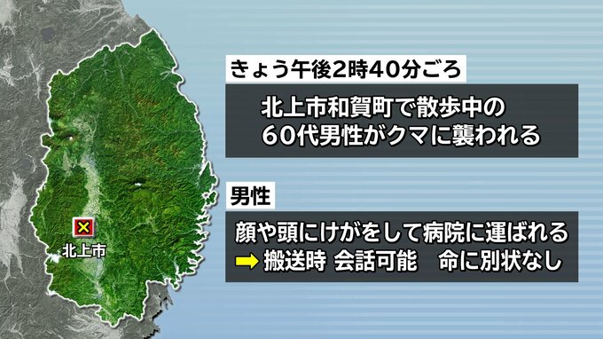 散歩中に親子のクマ2頭と遭遇　親に襲いかかられ60代男性が顔や頭にけが　自力で帰宅し家族が通報　命に別状なし　岩手・北上市|TBS NEWS DIG