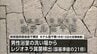 国の基準値の21倍にあたるレジオネラ菌を検出　高千穂町「ホテル高千穂」の男性浴室から　|　MRTニュース ｜ ＭＲＴ宮崎放送